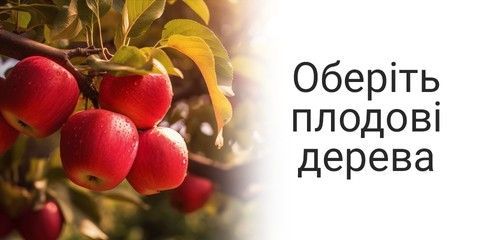 Banner from design